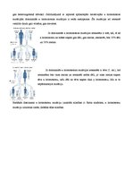 Konspekts 'Gēnu mutācijas x hromosomā. Hromosomālās pārveides. Multifaktoriālās slimības', 2.