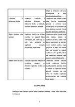 Referāts 'Ražošanas uzņēmuma "XXX" risku vadība', 7.