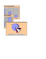 Referāts 'Ražošanas uzņēmuma "XXX" risku vadība', 11.