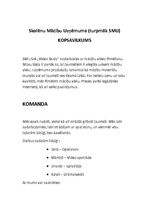 Biznesa plāns 'Biznesa plāns mācību firmai', 2.