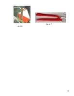 Referāts 'Orientēšanās sports', 32.