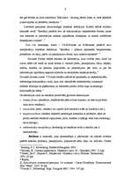 Referāts 'Reklāmas pielietojums uzņēmējdarbībā', 6.