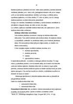 Referāts 'Reklāmas pielietojums uzņēmējdarbībā', 30.