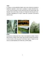 Referāts 'Latvija / Lettonie', 3.