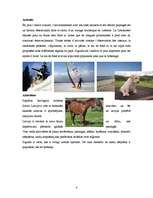 Referāts 'Latvija / Lettonie', 4.