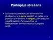 Prezentācija 'Ziņas, kurām jābūt ietvertām protokolā', 19.