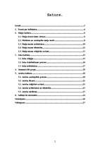 Referāts 'Senās Amerikas civilizācijas', 2.