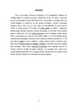 Referāts 'Senās Amerikas civilizācijas', 3.