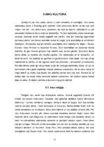 Referāts 'Senās Amerikas civilizācijas', 13.