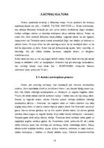 Referāts 'Senās Amerikas civilizācijas', 18.