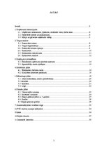 Biznesa plāns 'SIA "X" kafejnīca mājas gaumē', 2.