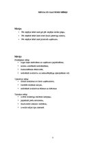 Biznesa plāns 'SIA "X" kafejnīca mājas gaumē', 5.