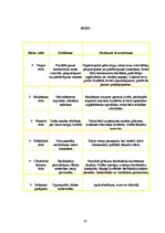 Biznesa plāns 'SIA "X" kafejnīca mājas gaumē', 37.