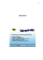 Referāts 'Mārketinga komunikāciju plāns SIA "Vidusdaugavas televīzija"', 53.