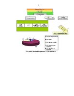 Referāts 'Personālvadības plānsVAS "Latvijas valsts meži"', 9.