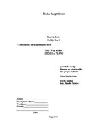 Biznesa plāns 'SIA "Way Of Life"- sporta klubs Saldū', 1.