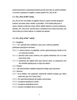 Biznesa plāns 'SIA "Way Of Life"- sporta klubs Saldū', 7.