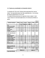 Biznesa plāns 'SIA "Way Of Life"- sporta klubs Saldū', 21.