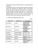 Biznesa plāns 'SIA "Way Of Life"- sporta klubs Saldū', 25.