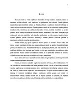 Referāts 'Uzņēmuma SIA "Loks" finanšu analīze', 3.