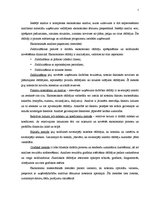 Referāts 'Uzņēmuma SIA "Loks" finanšu analīze', 5.