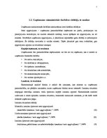 Referāts 'Uzņēmuma SIA "Loks" finanšu analīze', 7.