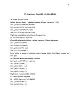 Referāts 'Uzņēmuma SIA "Loks" finanšu analīze', 20.