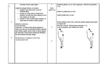Konspekts 'Sporta stundas konspekts', 4.