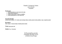 Konspekts 'Sporta stundas konspekts', 6.