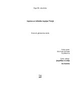 Referāts 'Izklaides un atpūtas iespējas Vācijā', 1.