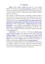 Referāts 'Izklaides un atpūtas iespējas Vācijā', 16.