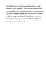 Referāts 'Izklaides un atpūtas iespējas Vācijā', 18.