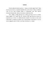 Referāts 'Izklaides un atpūtas iespējas Vācijā', 31.