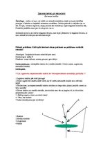 Paraugs 'Žiroskopiskais process. Pētnieciskais darbs', 1.