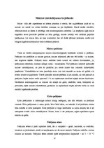 Referāts 'Kviešu maizes īpašības', 12.