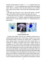 Referāts 'Kviešu maizes īpašības', 13.