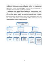 Referāts 'Kviešu maizes īpašības', 14.