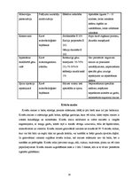 Referāts 'Kviešu maizes īpašības', 16.