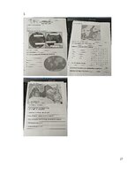 Prakses atskaite 'Vērošanās prakses atskaite sākumskolā, MT 3.klase', 27.