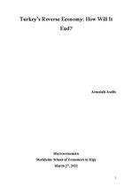 Referāts 'Turkey’s Reverse Economy: How Will It End?', 1.