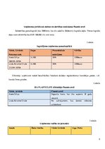 Biznesa plāns 'Biznesa plāns', 5.