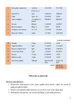 Biznesa plāns 'Biznesa plāns', 7.