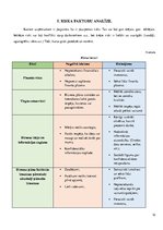 Biznesa plāns 'Biznesa plāns', 12.