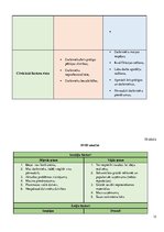 Biznesa plāns 'Biznesa plāns', 13.