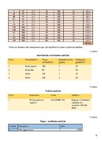 Biznesa plāns 'Biznesa plāns', 15.