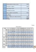 Biznesa plāns 'Biznesa plāns', 16.