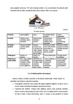 Biznesa plāns 'Biznesa plāns SIA "Finišs"', 16.