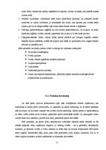 Biznesa plāns 'Biznesa plāns SIA "Finišs"', 17.