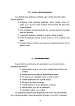 Biznesa plāns 'Biznesa plāns SIA "Finišs"', 18.