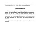 Biznesa plāns 'Biznesa plāns SIA "Finišs"', 19.